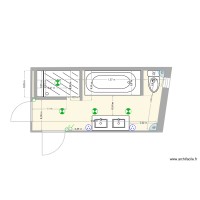 Hauguel Sdb implantation &eacute;lectrique