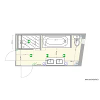 Hauguel Sdb implantation &eacute;lectrique