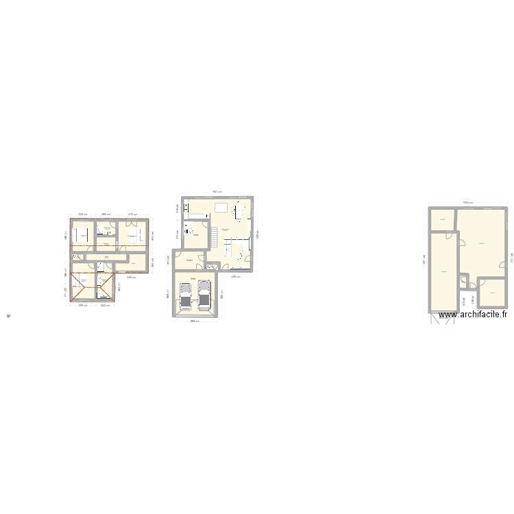 Maison 10m de façade. Plan de 19 pièces et 303 m2
