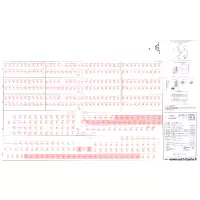 EHPAD synoptique Declencheur