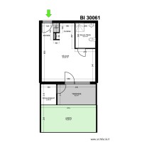 BI 30061