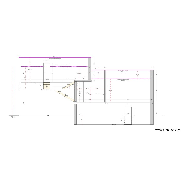 Projet RDF_Coupe Extension_2. Plan de 0 pièce et 0 m2
