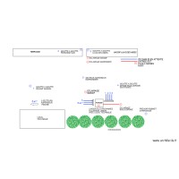 PLAN  RESEAU MARRONIER