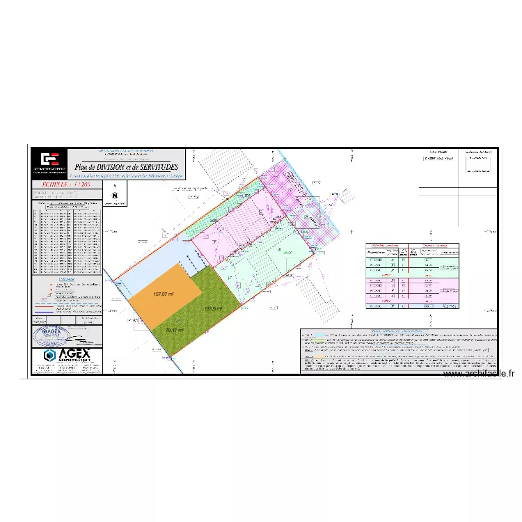 implantation vignes. Plan de 