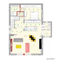 41 SORINS RDC avec petit agrandissement