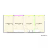 Plan Sauvegarde Lyon Dr BORGNAT