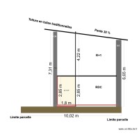 Plan de coupe Parcelle 367