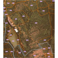 Plan total parcelle avec nouveaux bat agri 12ha