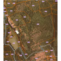 Plan total parcelle avec nouveaux bat agri 12ha