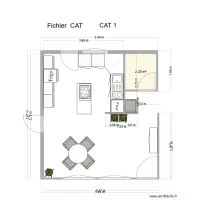 CAT 1