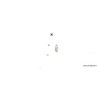 PLAN INTÉRIEUR DU TUNNEL HANGAR