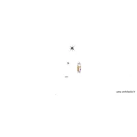 PLAN INT&Eacute;RIEUR DU TUNNEL HANGAR