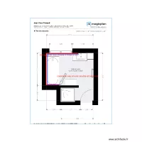 Plan Existant Mr. Pineaud