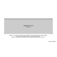 BI 21243 - 