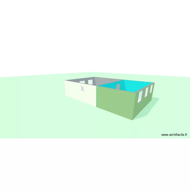 1ER ETAGE AVEC AGRANGDISSEMENT. Plan de 1  et 47 m²