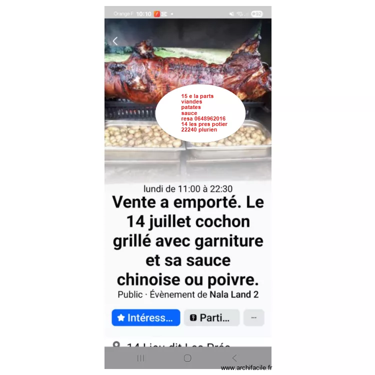 cochon. Plan de 
