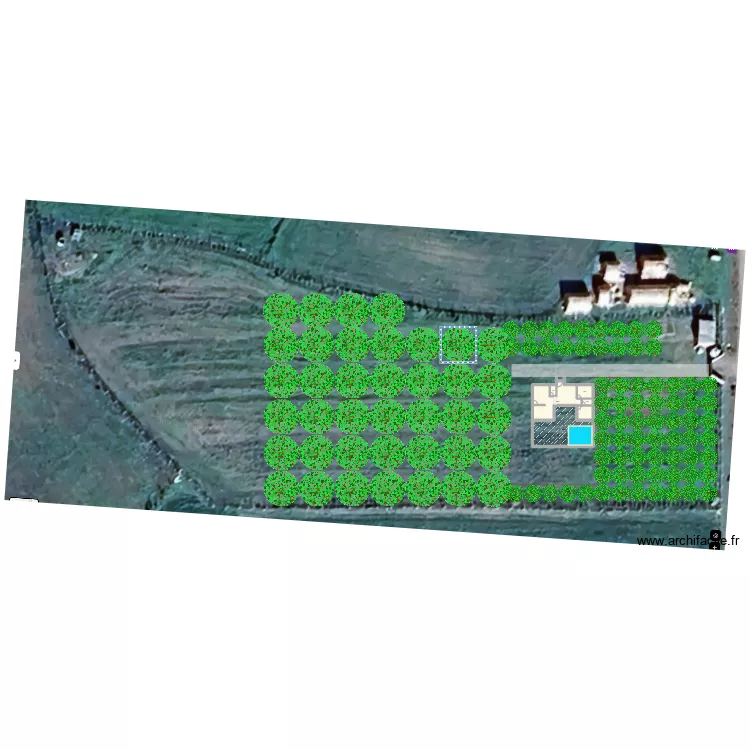 plan new 2024. Plan de 