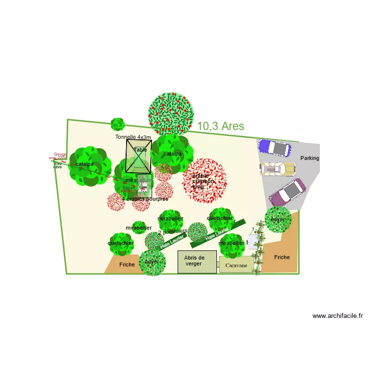 Version 2025 01. Plan de 