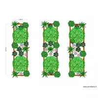 Plantation pieds d\'arbres