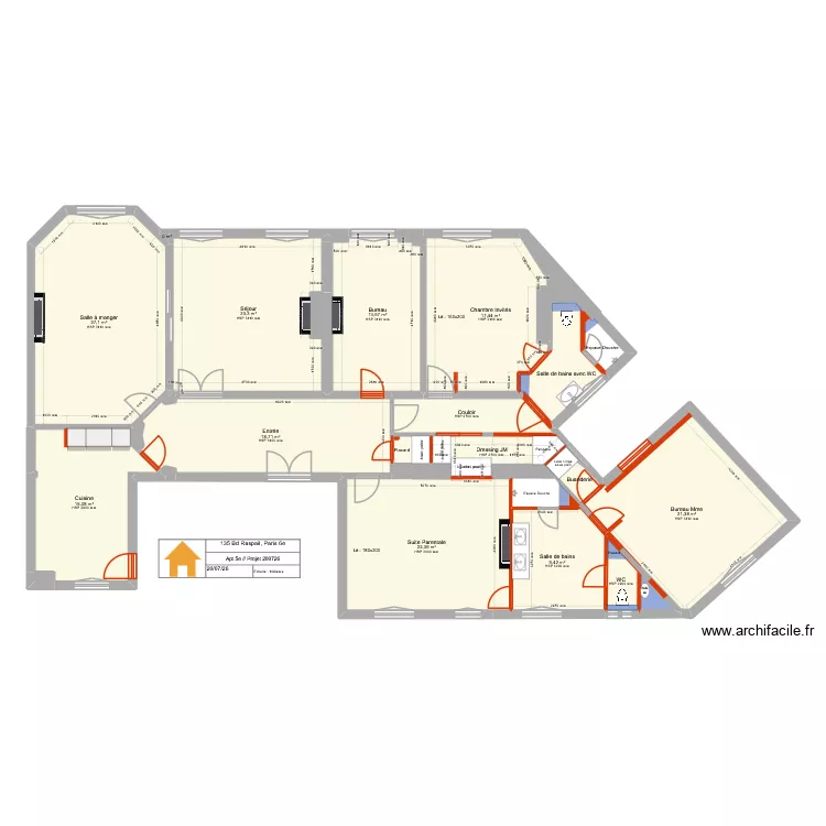 135 Raspail 5e Projet 200726 bis. Plan de 31  et 196 m²