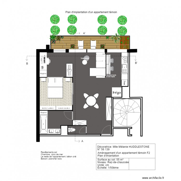 Appartement témoin implantation. Plan de 0 pièce et 0 m2