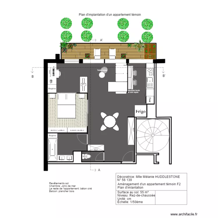 Appartement t&eacute;moin implantation. Plan de 