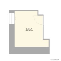 Salle de bain (Future chambre)