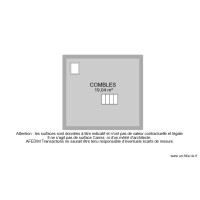 BI 11054 COMBLES 