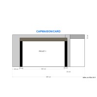 CARD (porjet)