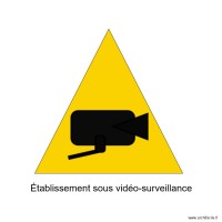 surveillance vidéo