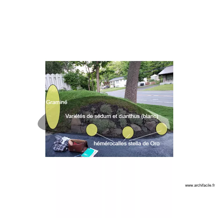 LCadieu sedum. Plan de 