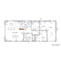 BEGONIAS  &eacute;lectricit&eacute; 1