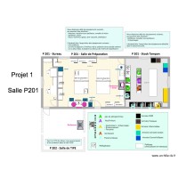 Projet 1       P201 
