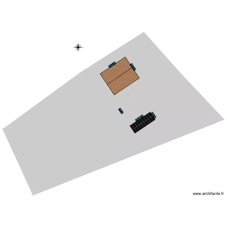 LEYDET THOMAS. Plan de 