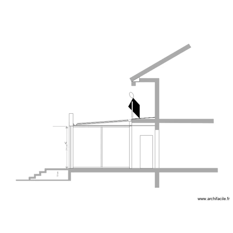 Taillard coupe extension. Plan de 