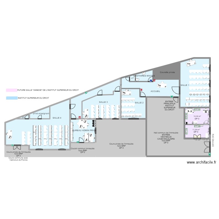 PLAN D ENSEMBLE AVANT TRAVAUX INST DU DROIT. Plan de 18 pièces et 498 m2