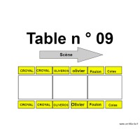Table 09