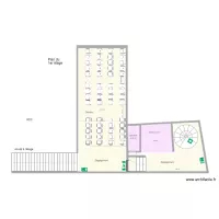 puce a oreille &eacute;tage