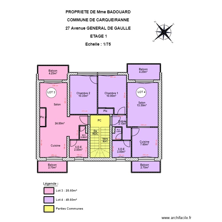 BADOUARD ETAGE 1. Plan de 20 pièces et 102 m2