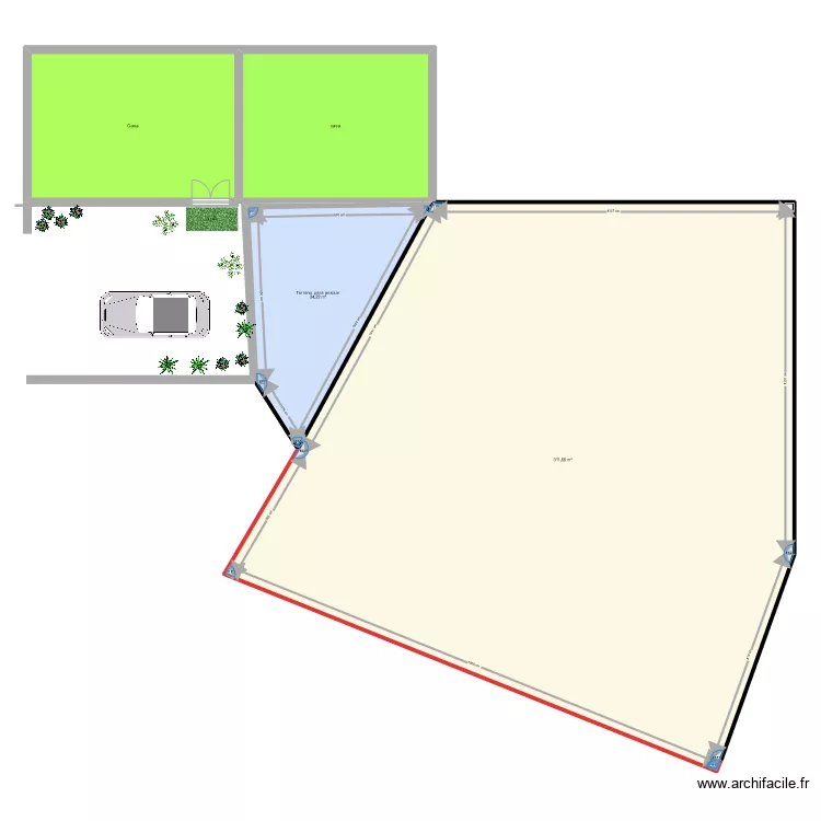 Palmeiria parcela depois da troca. Plan de 