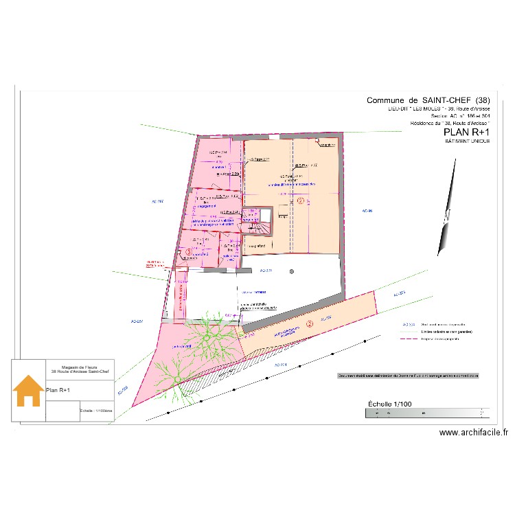 Plan R+1. Plan de 0 pièce et 0 m2