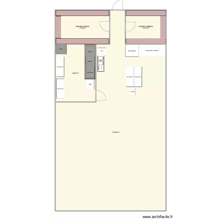 La menthe sauvage. Plan de 