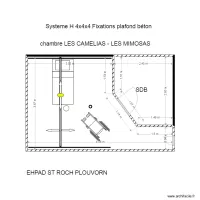 PLOUVORN CAMELIAS et  MIMOSAS