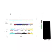 PDM 2019 TEST DECROCHER MARCHE