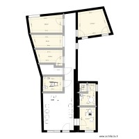 DR LACUSTEANU PLAN CABINET