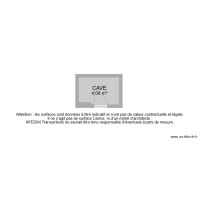 BI 8870 CAVE