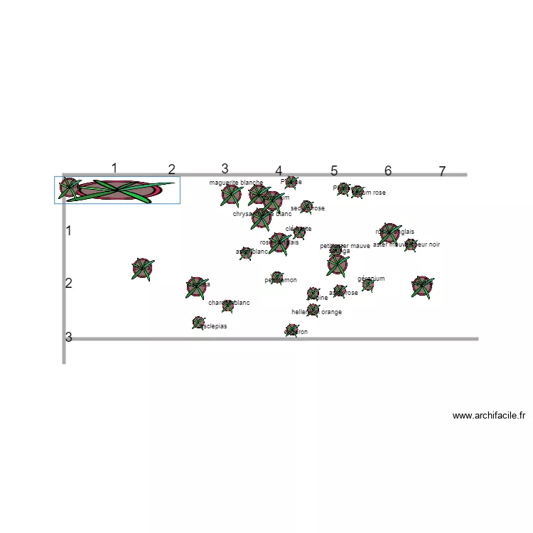 snyders rosiers anglais. Plan de snyders rosiers anglais. Plan de