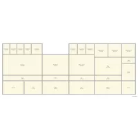 Kitten Rescue Belgium