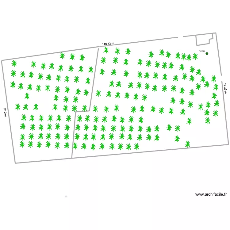 Palmeraie. Plan de Palmeraie. Plan de