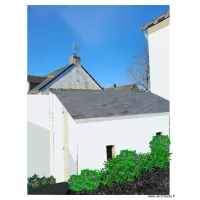 B&ucirc;cher r&eacute;nov&eacute; final